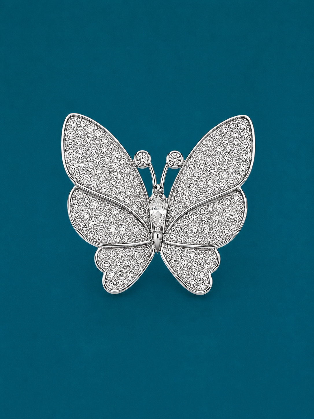 DESIR BUTTERFLY